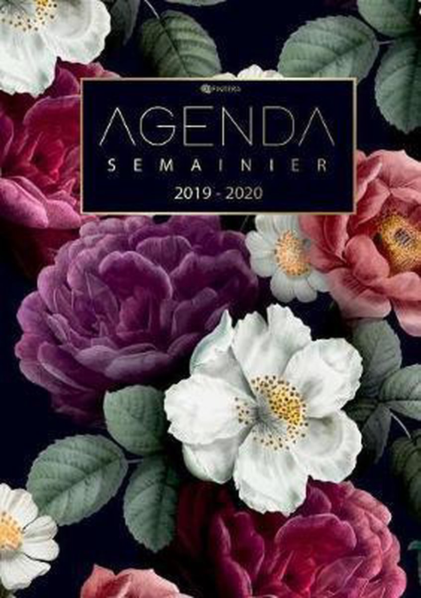 Agenda Semainier 2019 2020 - Agenda de Poche et Calendrier Août 2019 à Décembre 2020 Agenda Journalier - El Fintera