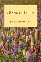 A Bank of Lupins