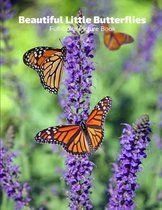 Beautiful Little Butterflies Full-Color Picture Book