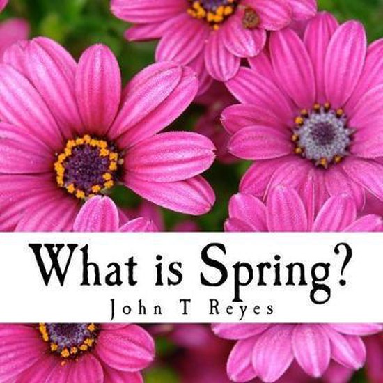 What is Spring?, John t. Reyes 9781987648997 Boeken