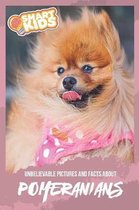 Unbelievable Pictures and Facts About Pomeranian