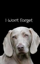 I Won't Forget: Large Print Discreet and Compact Internet Username and Password Organizer Log Book