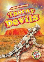 Animals of the Desert - Thorny Devils