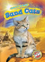 Animals of the Desert - Sand Cats