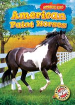 Saddle Up! - American Paint Horses