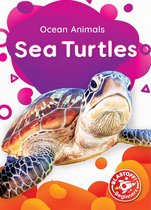 Ocean Animals - Sea Turtles