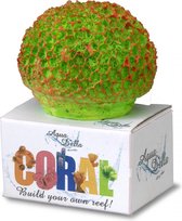 Auqa Della Coral module brain coral S - 7,3x6,5x6CM