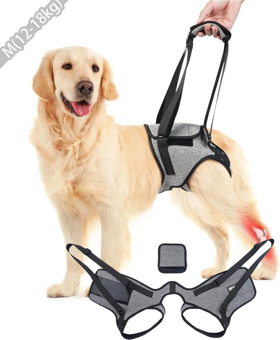 HS012 Hondentuig Grote Honden No-Pull Echt Leer Duurzaam Harnas voor Middelgrote en Grote Honden, Zwart,L