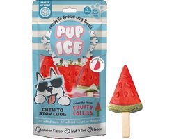 Pup Ice Hondenijsje Fruit Lollie Watermeloen