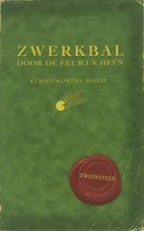 Zwerkbal door de eeuwen heen