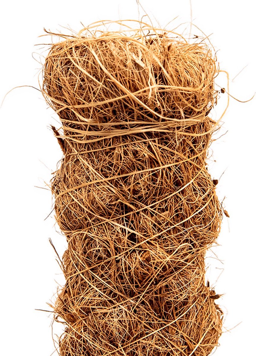 Mosstok Plantensteun - 60cm - Voor uw Urban Jungle!