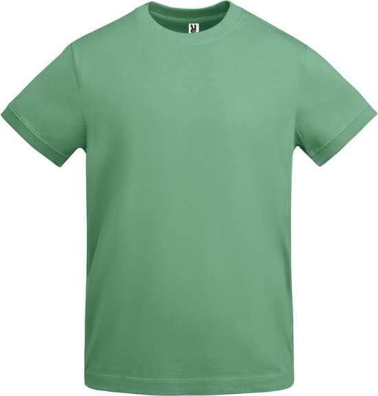 Foto: Donker mint unisex dik t shirt brede boord korte mouwen merk roly maat xl