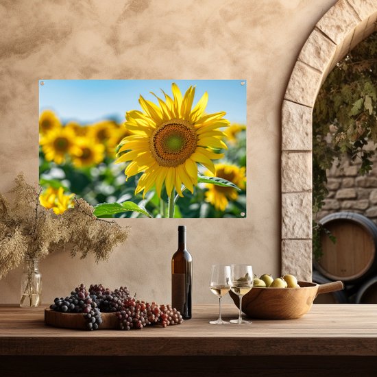 Affiche de jardin de tournesol - Affiche de jardin de plantes - Posters de jardin Feuilles - Affiche d'extérieur - Toile de clôture - Affiche de jardin de peinture de jardin 90x60 cm