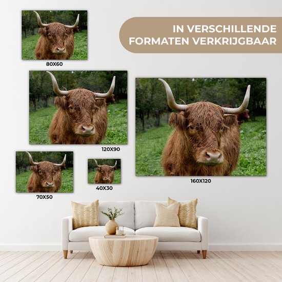 Tableau sur toile Highlander écossais - Animaux - Herbe - 160x120 cm - Décoration murale XXL