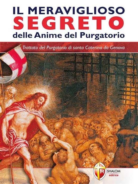Il meraviglioso segreto delle anime del Purgatorio. Trattato ... - cover