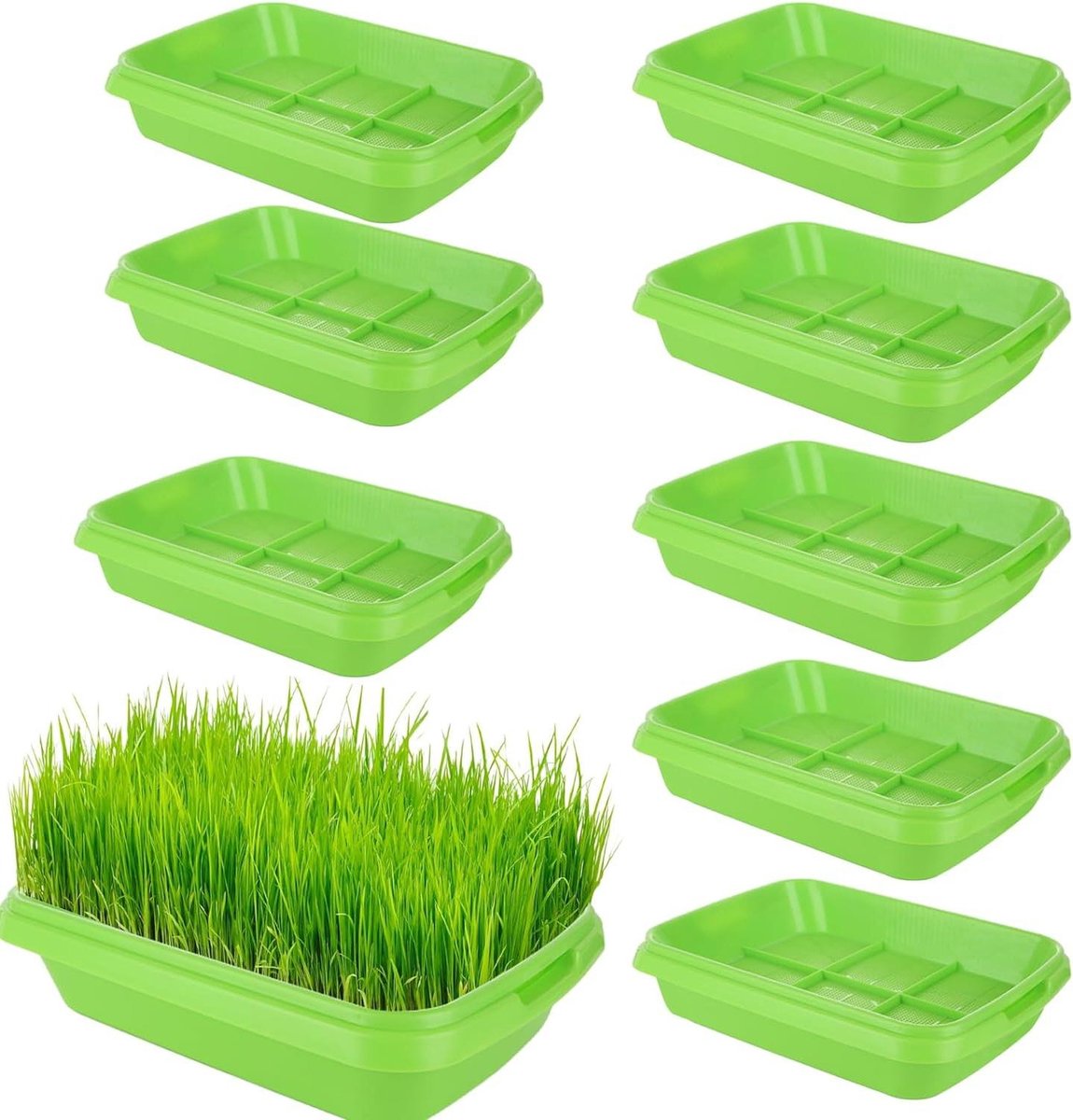Tuinkers Kiemen Schaal CHRI 5 Stuks Kiemschalen Voor Kiemen, Zaad, Kiemschaal, 31 Cm X 25 Cm, Tuinkers, Kweekschalen, Kiembakje Voor Het Kweken Van Mungbonen, Alfalfa, Tarwegras Kiemschaal Set