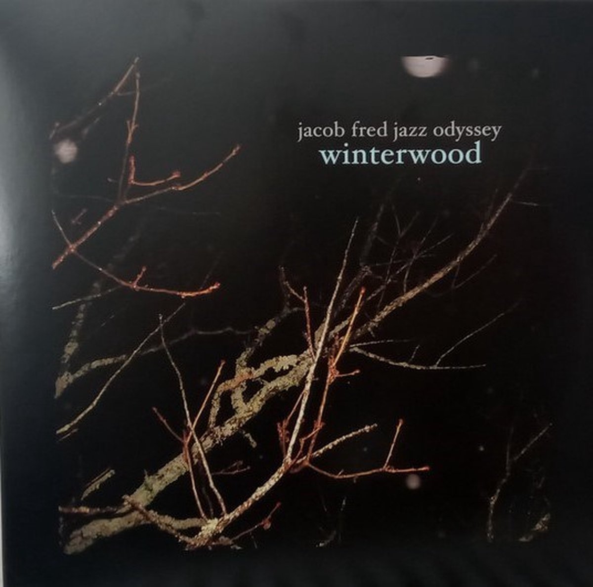 Jacob Fred Jazz Odyssey - Winterwood (2 LP)