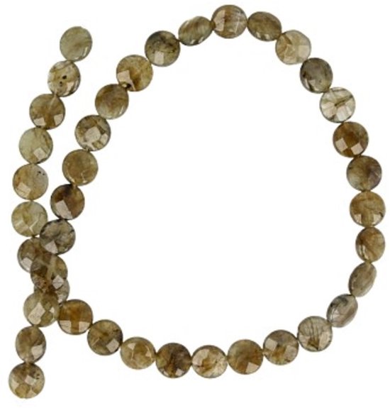 Ruben Robijn Labradoriet Disc Facet Kralen