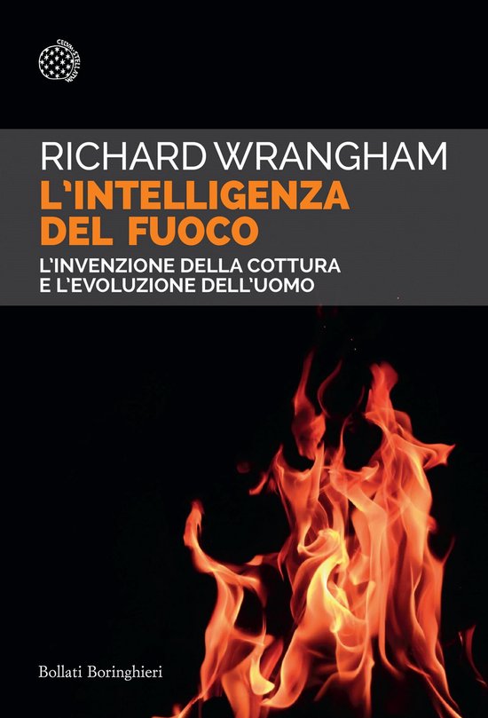 L'intelligenza del fuoco - cover