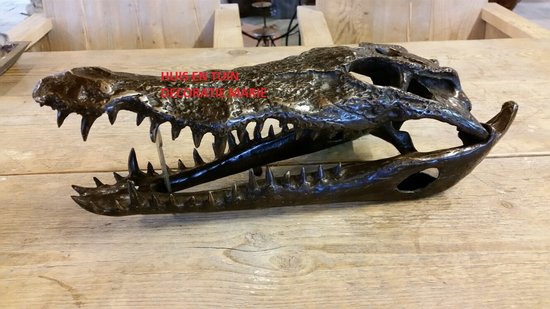 STATUE EN BRONZE / CRÂNE DE CROCODILE / ANIMAL SAUVAGE / STATUE DE JARDIN / BRONZE