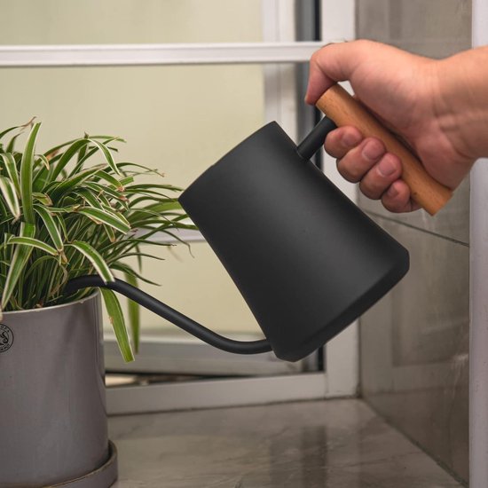 IMEEA 1L/35oz Gieter Binnen Roestvrijstalen Gieter Witte Waterkan met Lange Tuit voor Kamerplanten Bonsai Tuin Bloemen