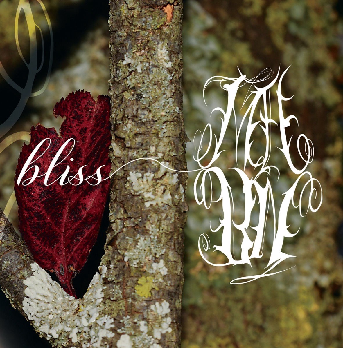 My Absence By Now - Bliss (CD)