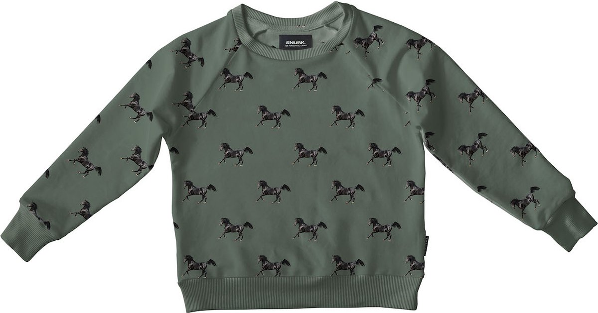 SNURK sweater kind Black Horses Green maat 116