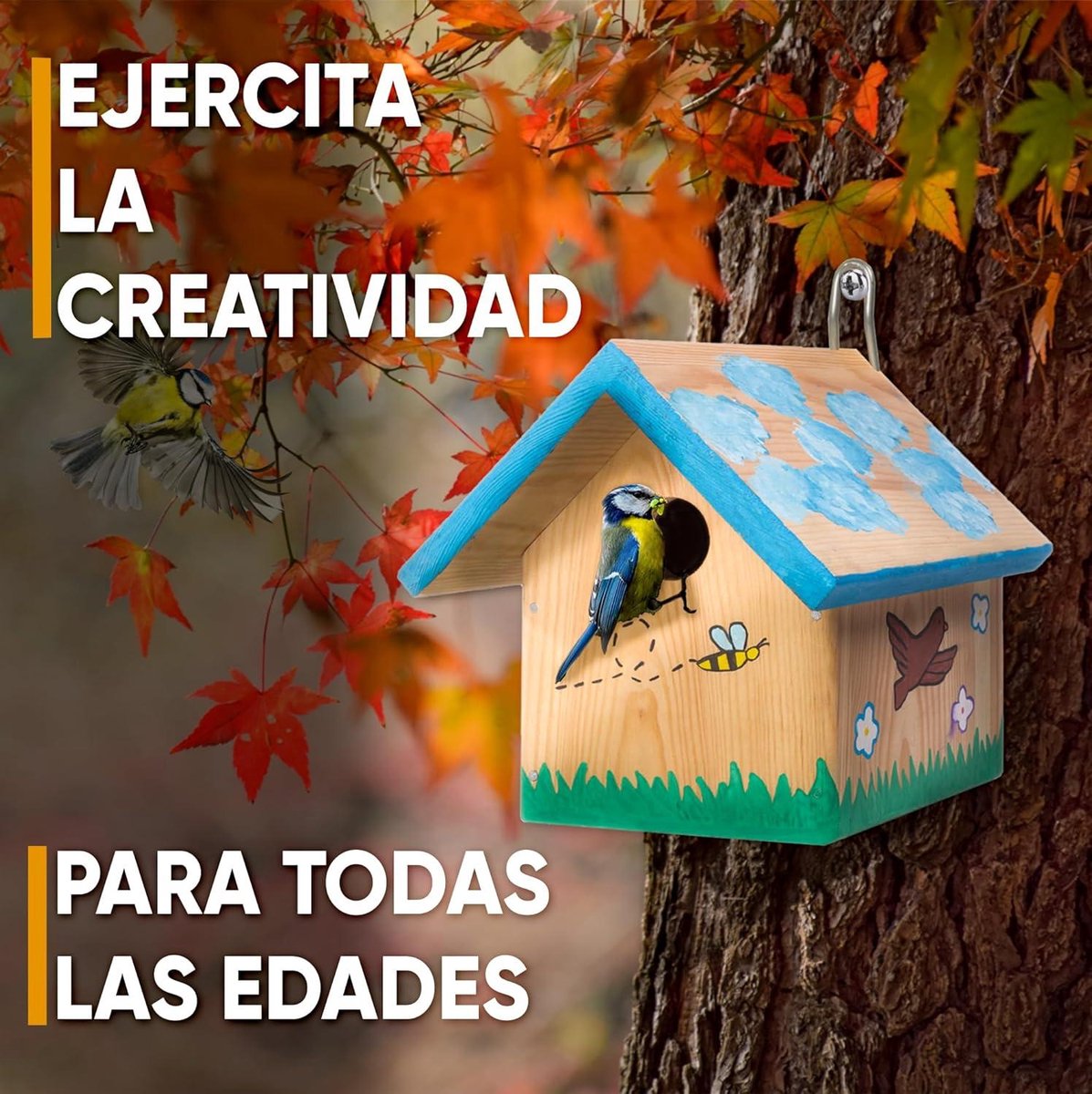 Kit Maison Oiseau à Peindre - 4 Nichoirs En Bois à Monter | Peintures Et Pinceaux Inclus | Activité Manuelle Enfant | Loisir Créatif