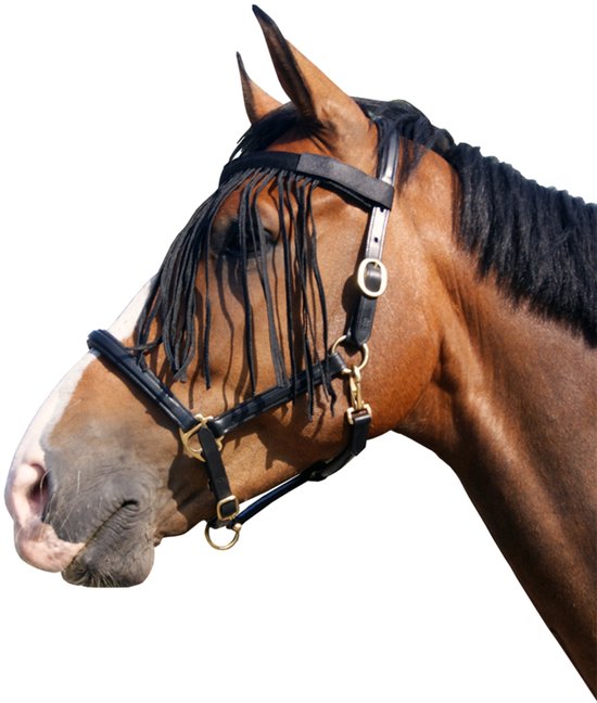 Frontal QHP Fly -Noir- Complet