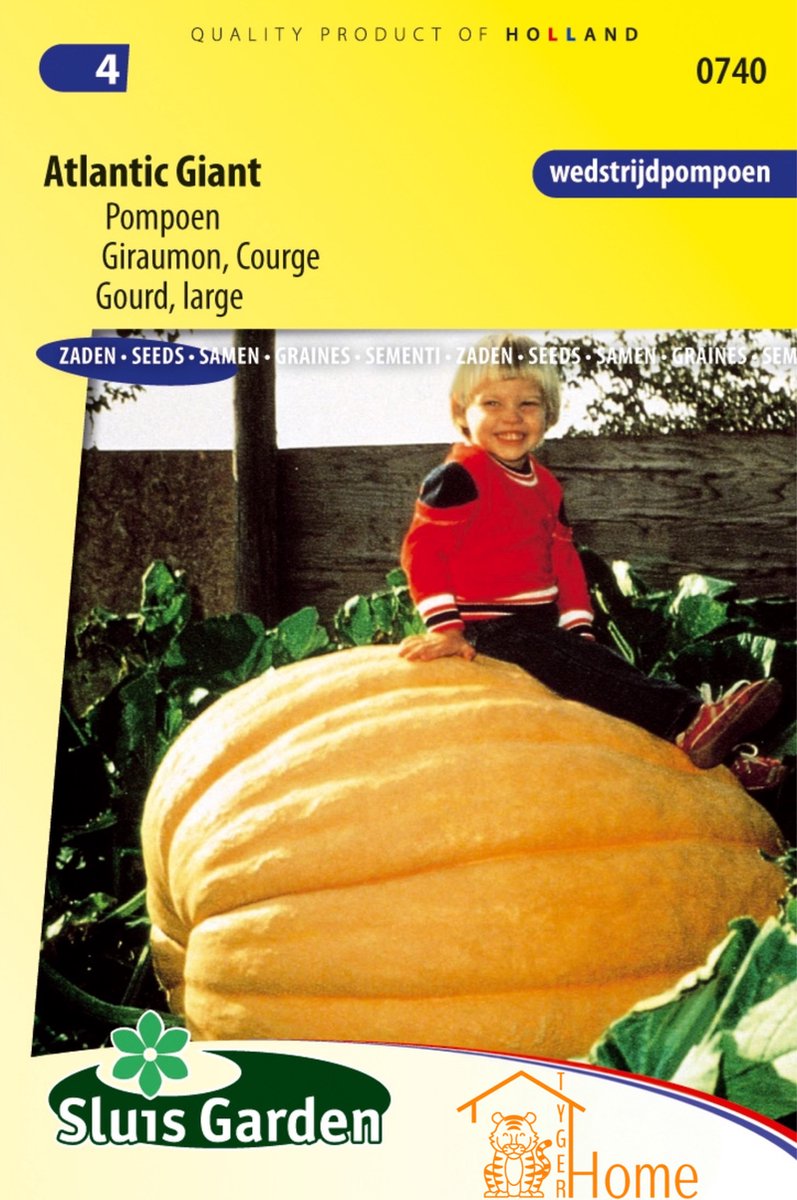 Sluis Garden - Pompoen Atlantic Giant