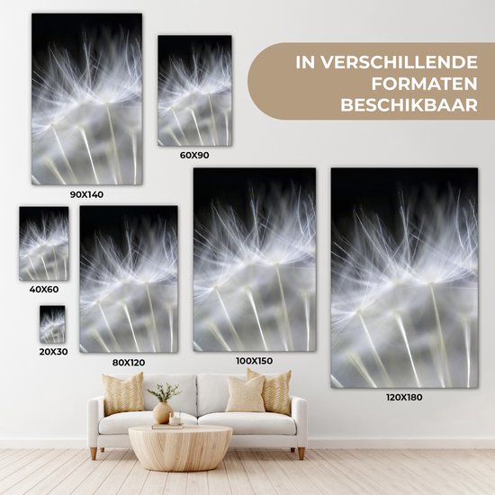 Canvas schilderij - Bloemen - Planten - Zaden - Wit - Canvasdoek - 40x60 cm - Foto op canvas - Schilderijen op canvas