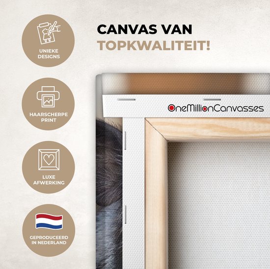 Canvas schilderij 60x80 cm - Wanddecoratie Varken - Dieren - Varkentje - Muurdecoratie woonkamer - Slaapkamer decoratie - Kamer accessoires - Schilderijen