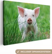 Canvas schilderij 60x40 cm - Wanddecoratie Varken - Dieren - Big - Muurdecoratie woonkamer - Slaapkamer decoratie - Kamer accessoires - Schilderijen