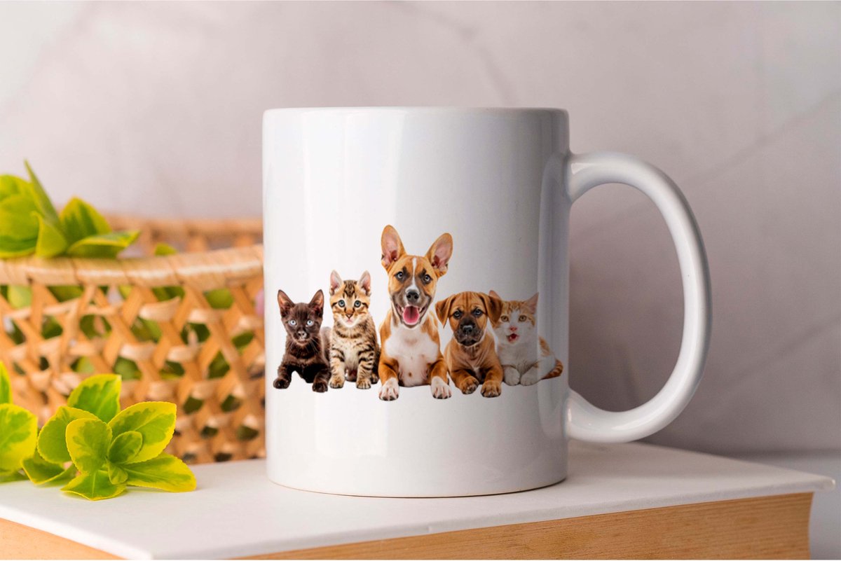 AAA+ Mok Boeferd & Boefje PuppyLove PuppyLife CutePuppy PuppyLiefde PuppyLeven SchattigePuppy