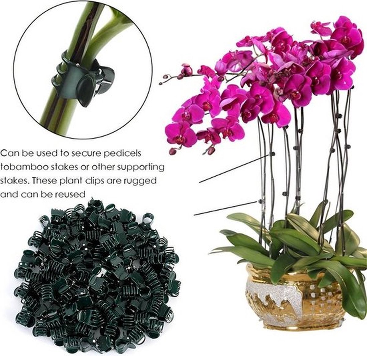 Plantenklemmetjes - Donkergroen - 50 stuks - Voor orchideeën en klimplanten
