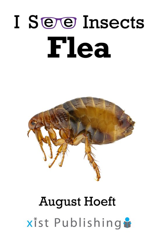 I See Insects 10 - Flea