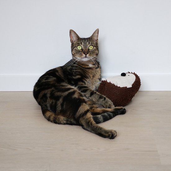 D&D home trappelkussen voor de kat - met catnip - speelgoed voor de kat - maat L - 13x14x23 cm -