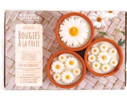 Graine Creative kaarsen maken DIY set margrieten terracotta potjes.