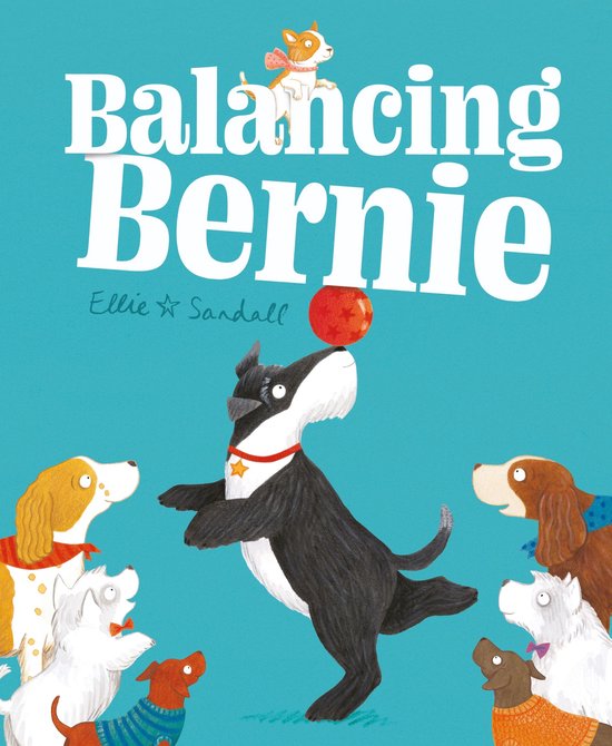 Balancing Bernie - cover