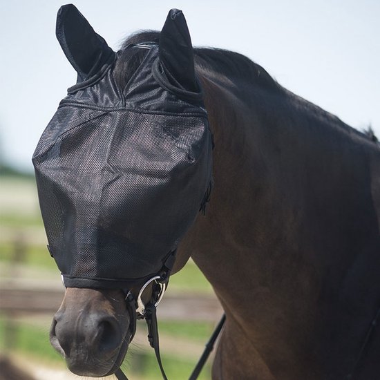 Zwart rij vliegenmasker met oren over het hoofd van een donkerbruin paard.