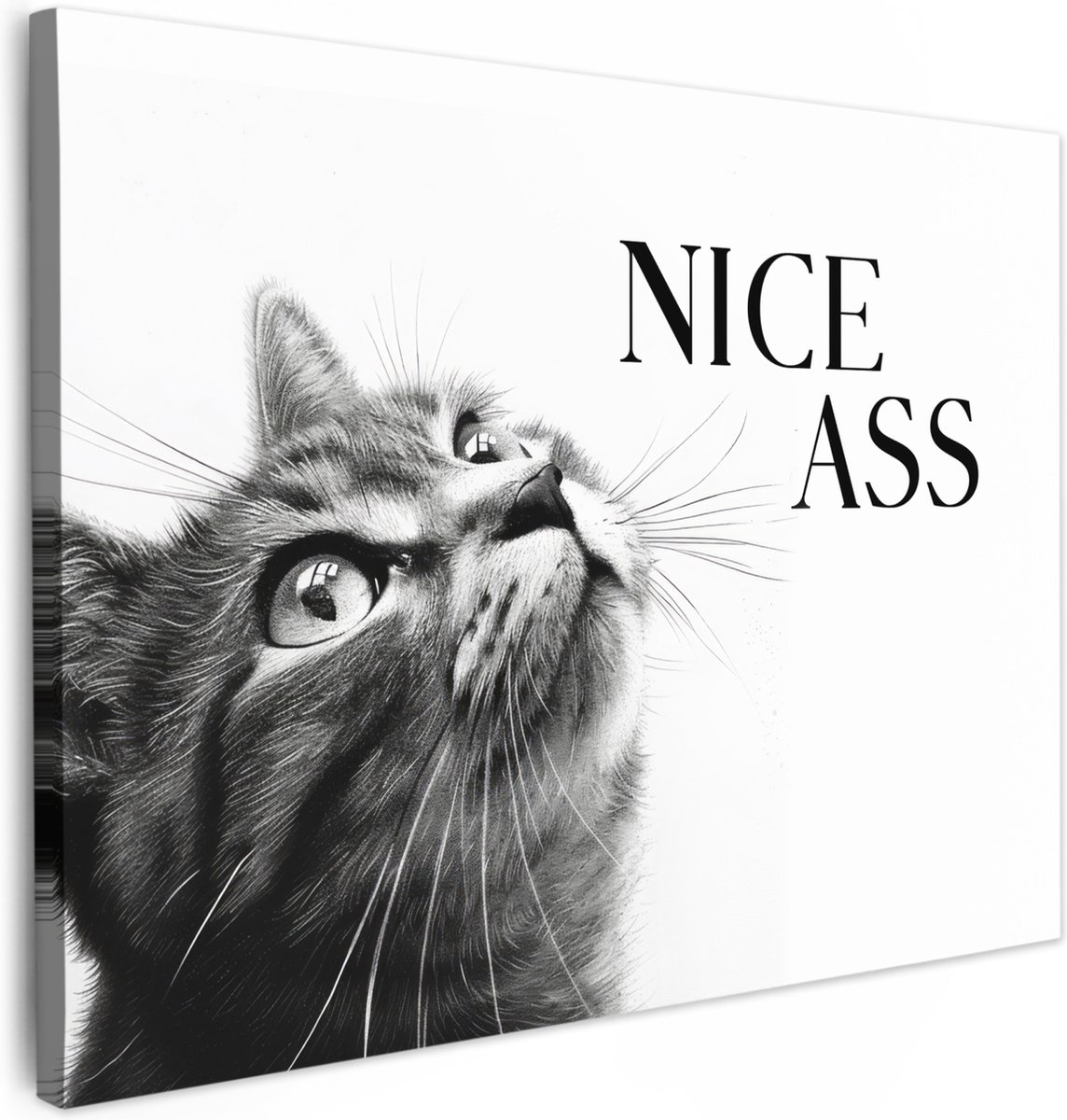 Canvas schilderij 80x60 cm - Wanddecoratie badkamer Katten - Nice ass - Quote - Zwart wit