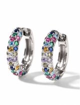 Oorringen multicolor strass