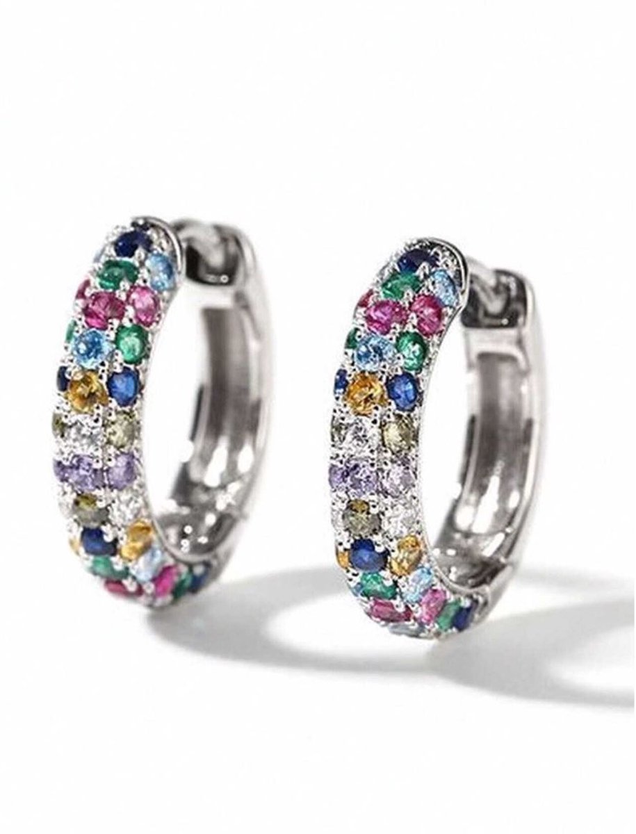 Oorringen multicolor strass