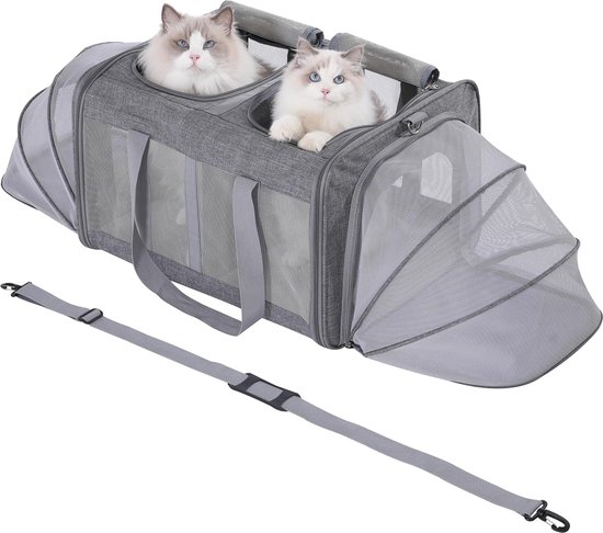 Caisse de transport pour chat spacieuse pour chats et petits