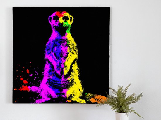 Colorful meerkat explosion | Colorful Meerkat Explosion | Kunst - 60x60 centimeter op Forex | Foto op Forex