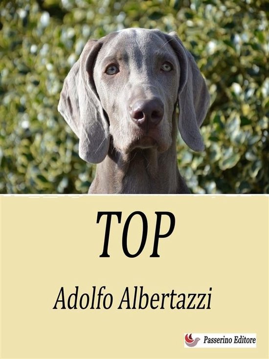 Top - cover