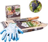 Druivenplanten verzorgingspakket - Combinatiepakket - 10 liter Pokon biologische moestuingrond - 1 kg Pokon druivenmest - tuin handschoenen - 1 schepje