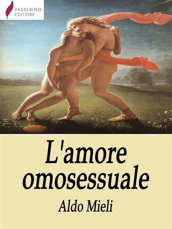 L'amore omosessuale - cover