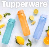 Tupperware Set Eco Bottles Plus Slim 500m + 750ml + 1L (3 pcs.)