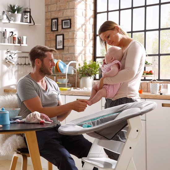 Alpha Bouncer Grijs - 2 in 1 wipstoel voor pasgeboren baby's - Hauck Alpha+ Beta+ meegroeistoel verkleiner - 66 x 45 x 49 cm van Hauck — afbeelding 3